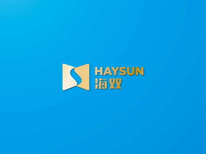 海智品牌VI設計 海雙信息科技的企業形象與文化傳達